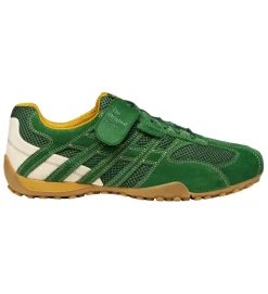 chaussures a lacets - Confort et décontracté - homme - Synthétique - Vert - Geox