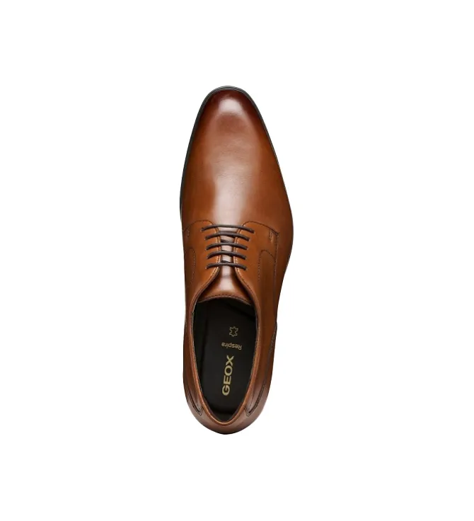 chaussures a lacets - Cérémonie - homme - Cuir - Marron - Geox
